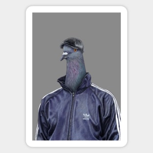 Pigeon "Semyon" Sticker